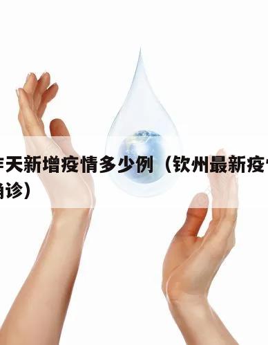 钦州昨天新增疫情多少例(钦州最新疫情最新消息确诊)