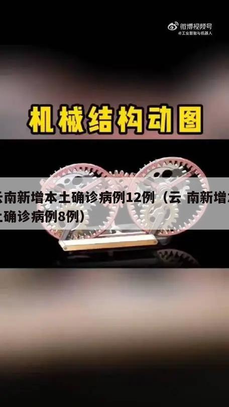 云南新增本土确诊病例12例(云 南新增本土确诊病例8例)