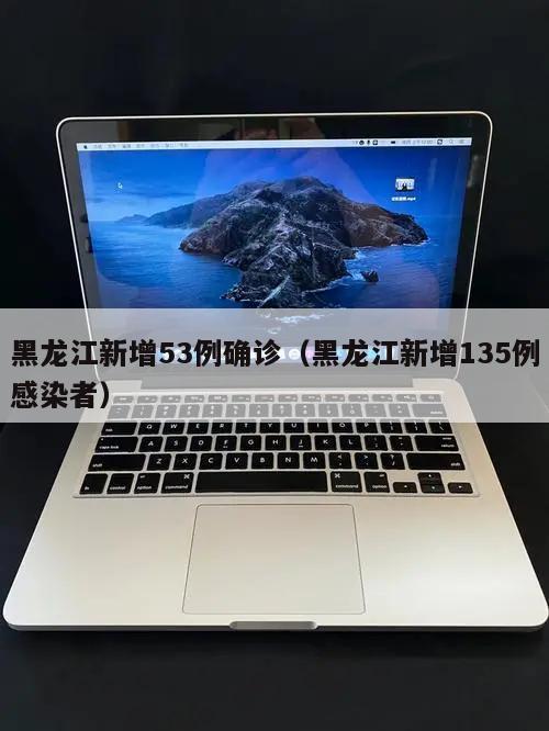 黑龙江新增53例确诊(黑龙江新增135例感染者)