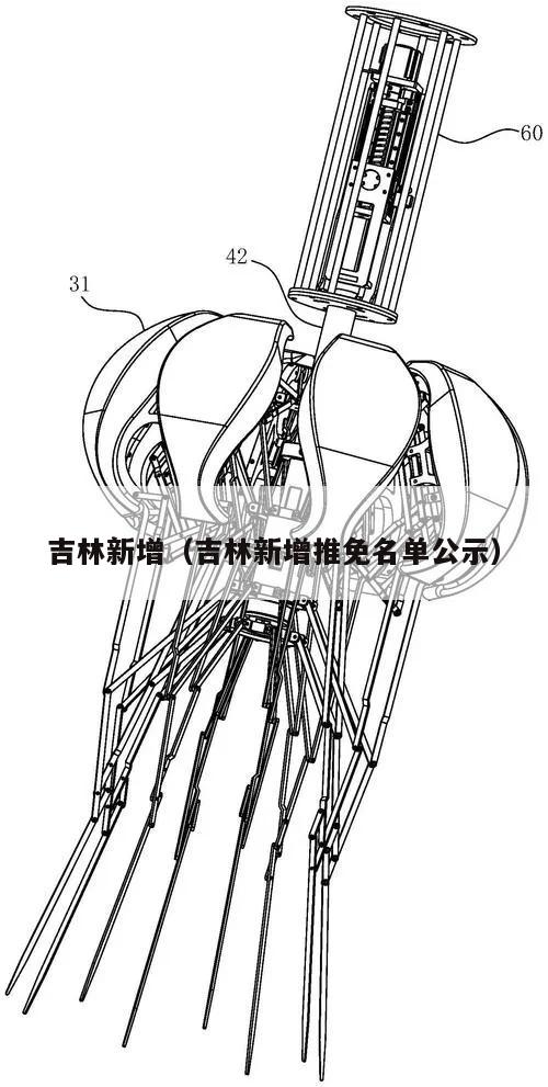 吉林新增(吉林新增推免名单公示)